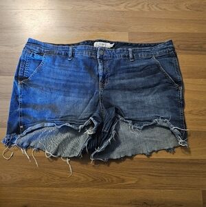 Torrid Dark Blue Jean Shorts